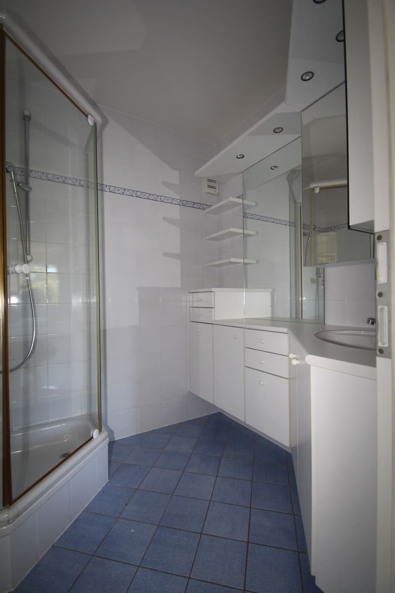 Dans jolie copropriété, à louer 2.5 pièces en rez-de-chaussée avec terrasse et jardin (2)