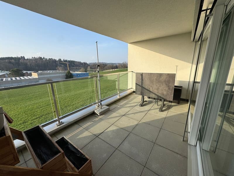 Très beau logement dans petit immeuble, coin verdoyant, de 3,5 pièces avec balcon (6)