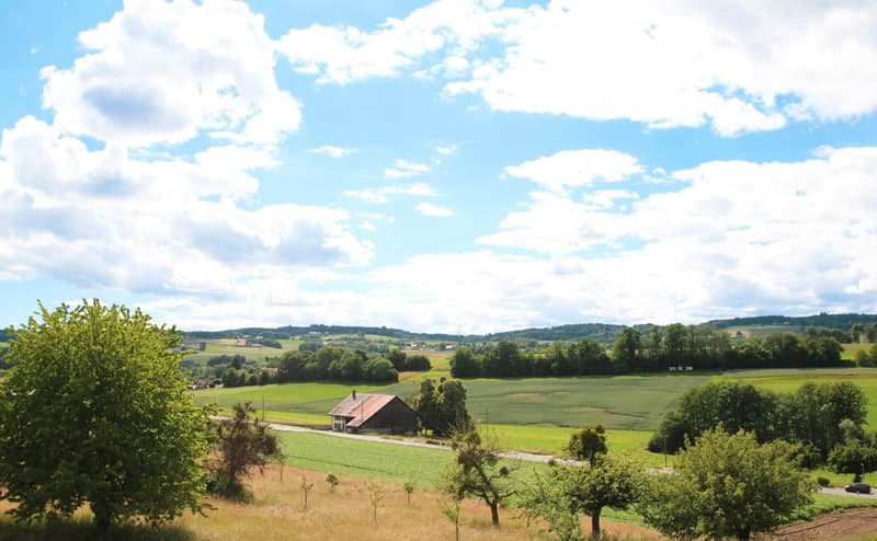 Très beau 3.5 Pièces avec grand balcon et magnifique vue campagne (4)