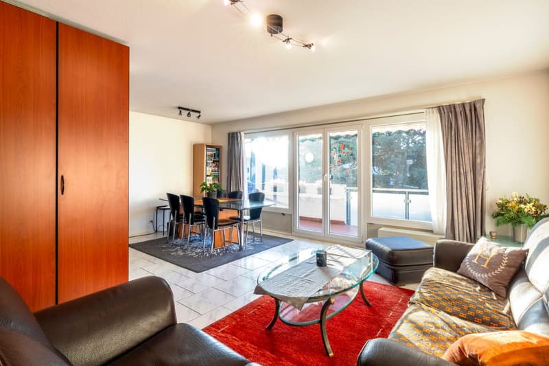 Lumineux appartement de 3,5 pièces avec balcon à La Tour-de-Peilz (2)
