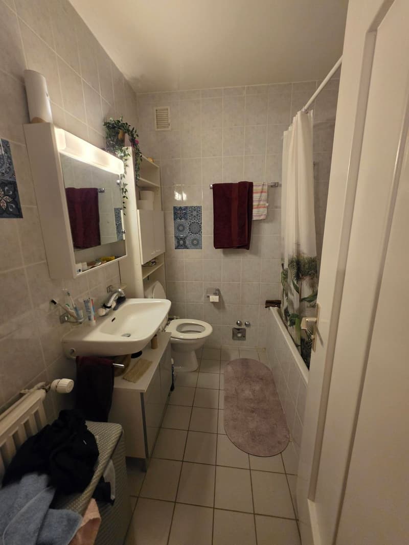 Salle de bains, baignoire, WC
