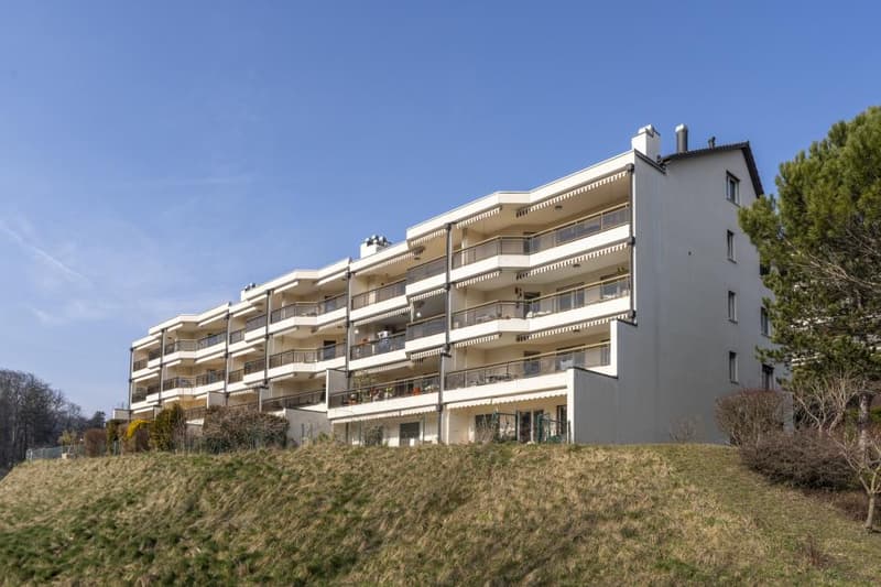 Bel appartement de 3.5 pièces avec terrasse et jardin à Chexbres (10)