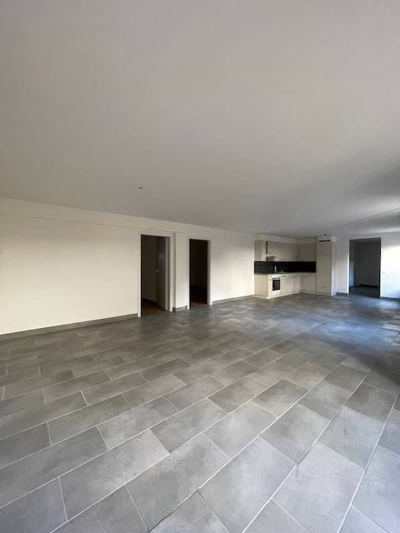 Centre ville, à deux pas de toutes les commodités, grand appartement de 3,5 pièces au 2ème étage (4)