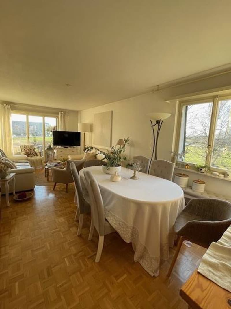 Appartement de 3 pièces, à 5mn à pied du centre ville avec balcon (1)