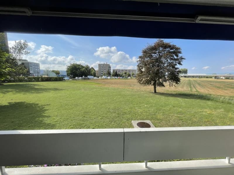 Appartement de 3 pièces, à 5mn à pied du centre ville avec balcon (3)
