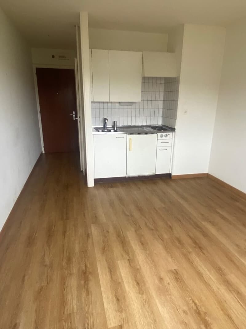 Appartement de 1 pièce au 5ème étage à Lausanne (2)