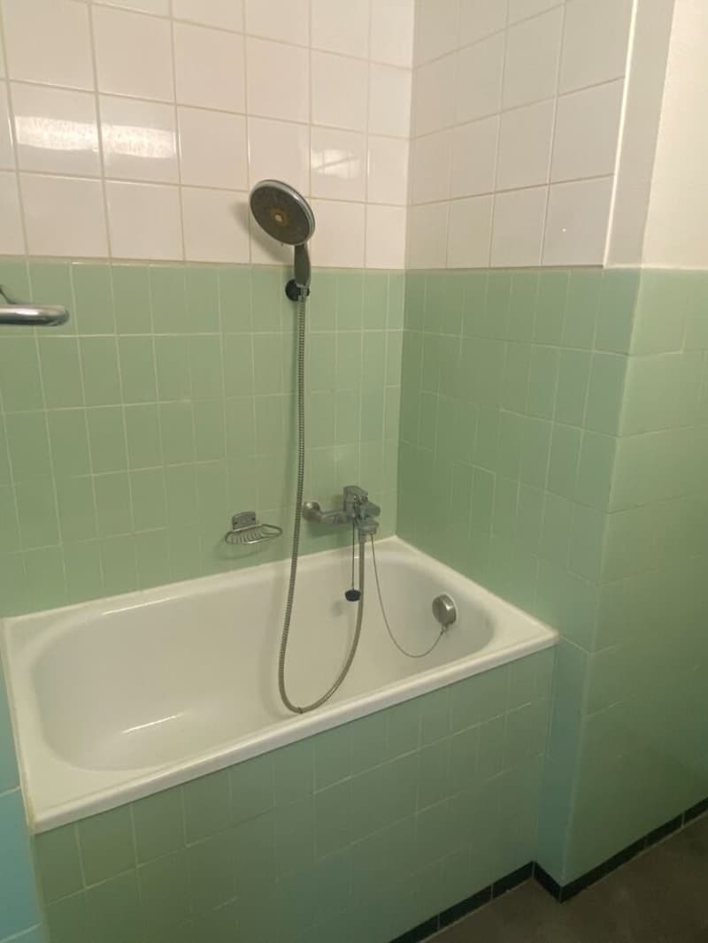 Appartement de 1 pièce au 5ème étage à Lausanne (3)