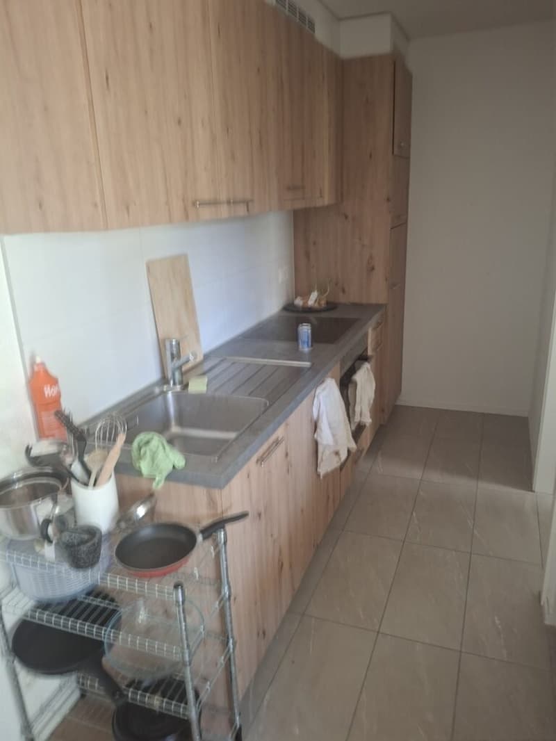 Appartement de 1.5 pièces avec terrasse à Bussigny (3)
