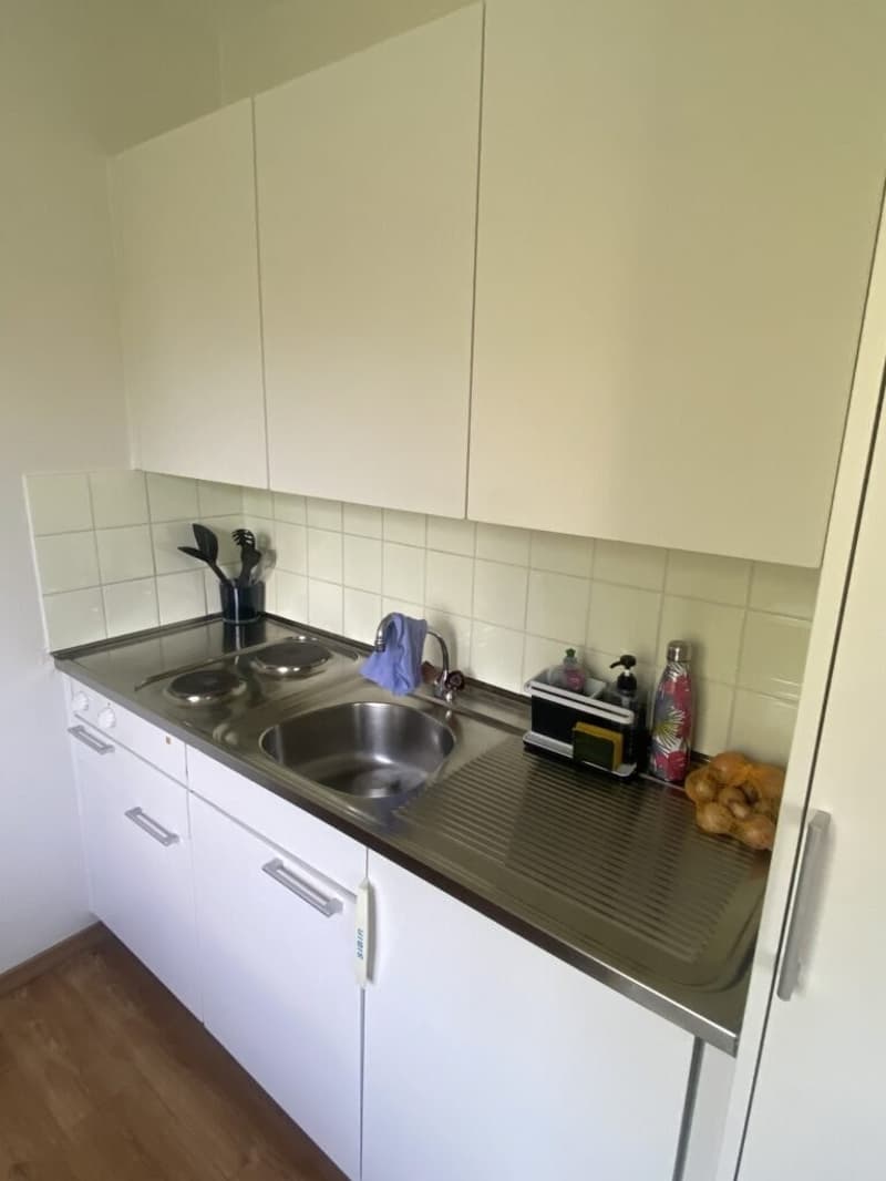 Appartement de 1 pièce au 3ème étage à Ecublens (4)