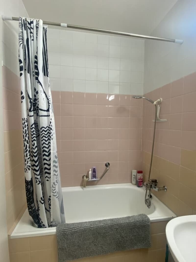Appartement de 1 pièce au 3ème étage à Ecublens (5)