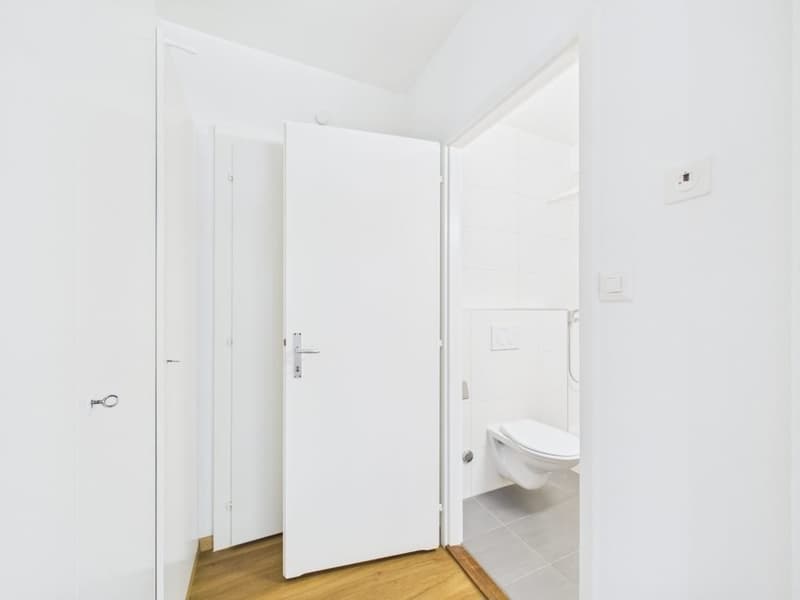Appartement de 1 pièce au rez-de-chaussée à Renens (4)