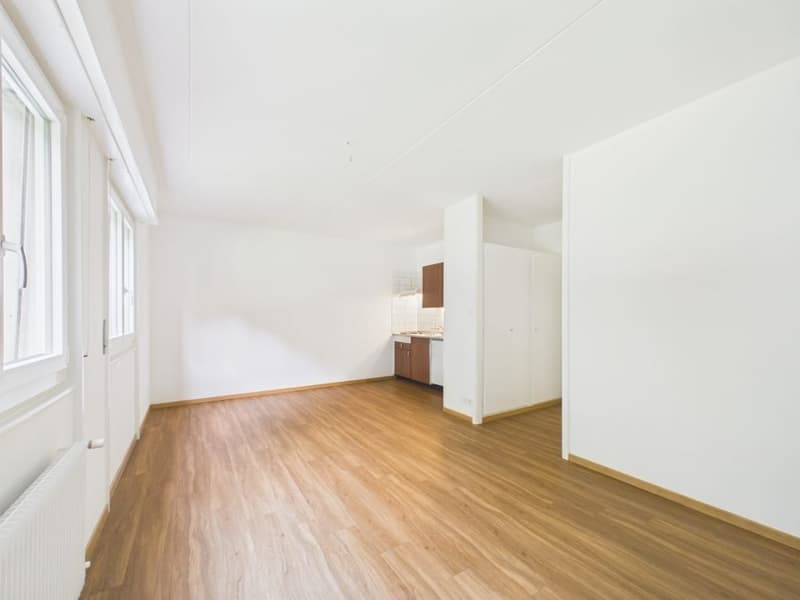 Appartement de 1 pièce au rez-de-chaussée à Renens (2)