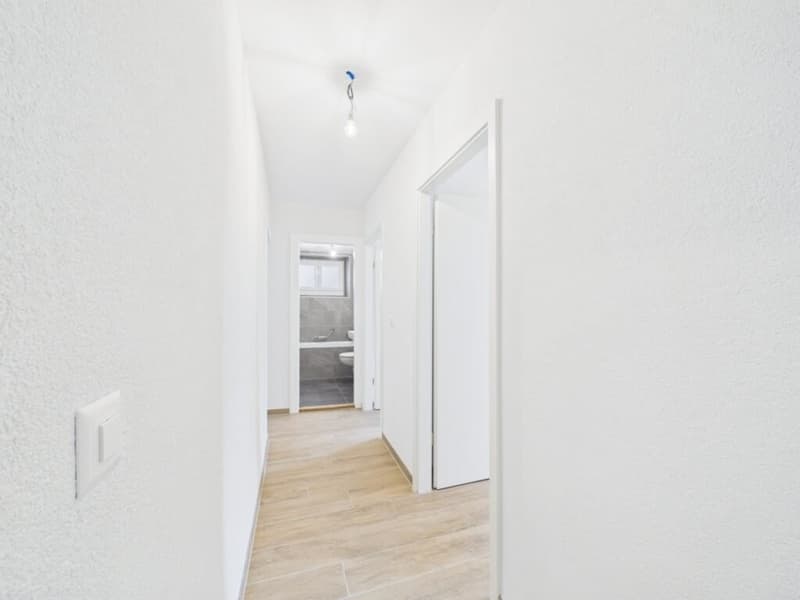 Superbe 4.5 pièces rénové au rez avec balcon plein sud (4)