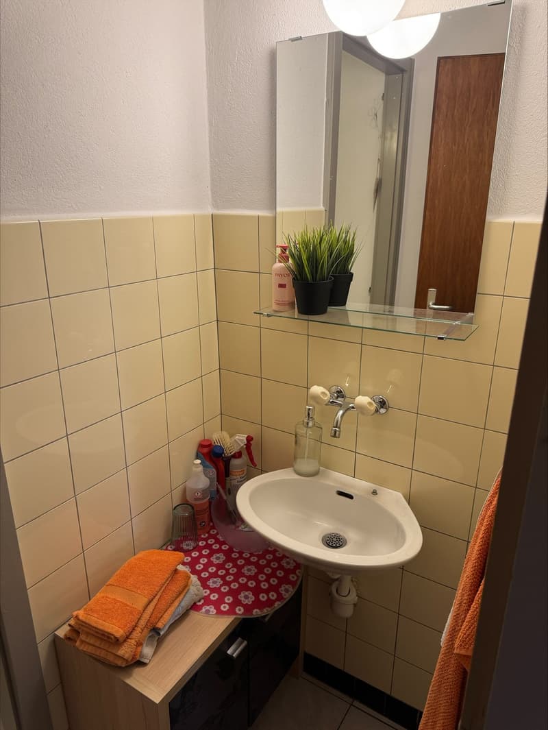 Bathroom with sink, mirror, and tiled walls, wooden cabinet with towels, and a shelf with plants