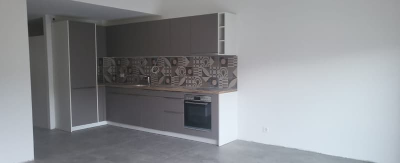 modern kitchen with gray cabinets, tiled backsplash, stainless steel sink, built-in dishwasher