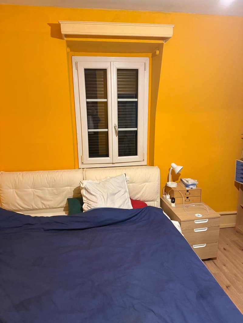 Bex : appartement de 2 pièces au cœur de la ville (2)