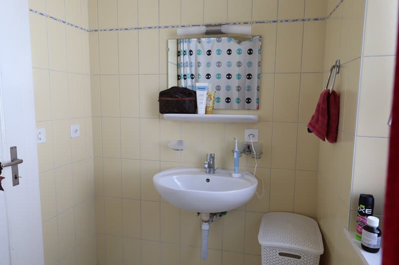 Bex : à louer charmant appartement de 3 pièces dans un quartier calme (9)