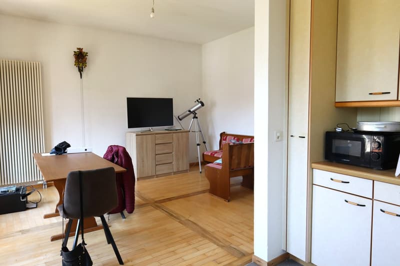 Bex : à louer charmant appartement de 3 pièces dans un quartier calme (5)