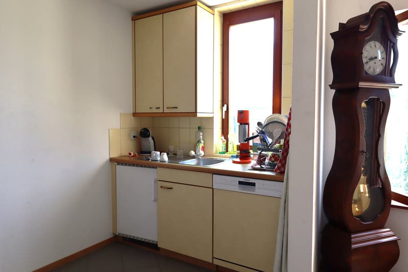 Bex : à louer charmant appartement de 3 pièces dans un quartier calme (4)