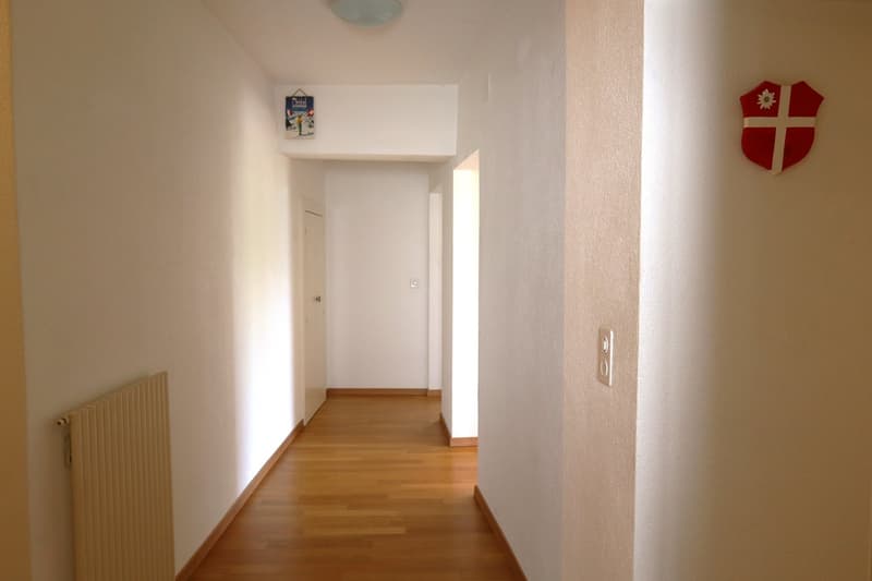 Bex : à louer charmant appartement de 3 pièces dans un quartier calme (10)