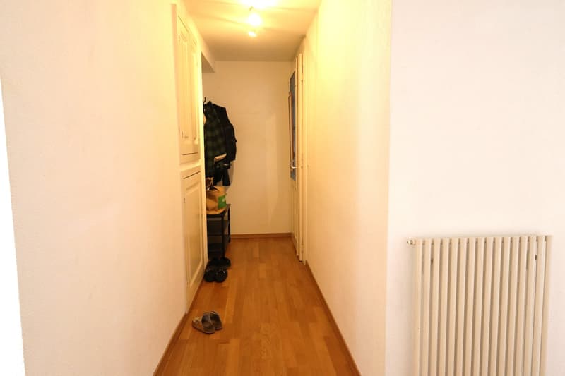 Bex : à louer charmant appartement de 3 pièces dans un quartier calme (7)