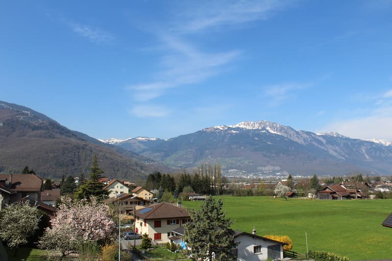 Bex : charmant studio avec vue imprenable (5)