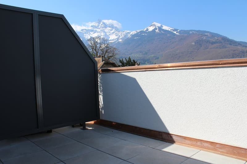 Bex : charmant studio avec vue imprenable (3)