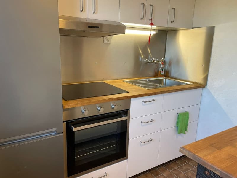 Bex : appartement lumineux de 2.5 pièces avec une belle vue (3)