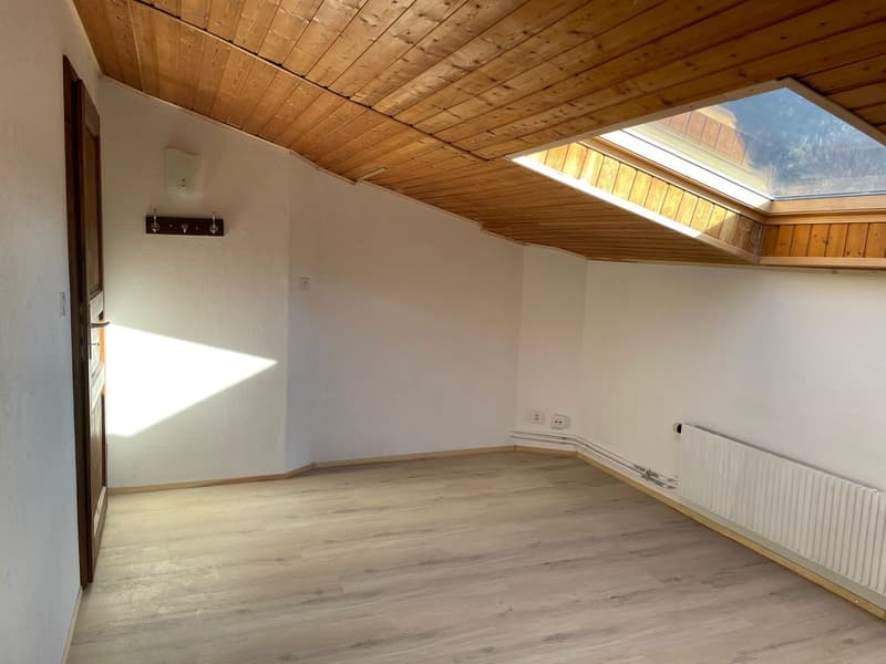Bex : appartement lumineux de 2.5 pièces avec une belle vue (10)