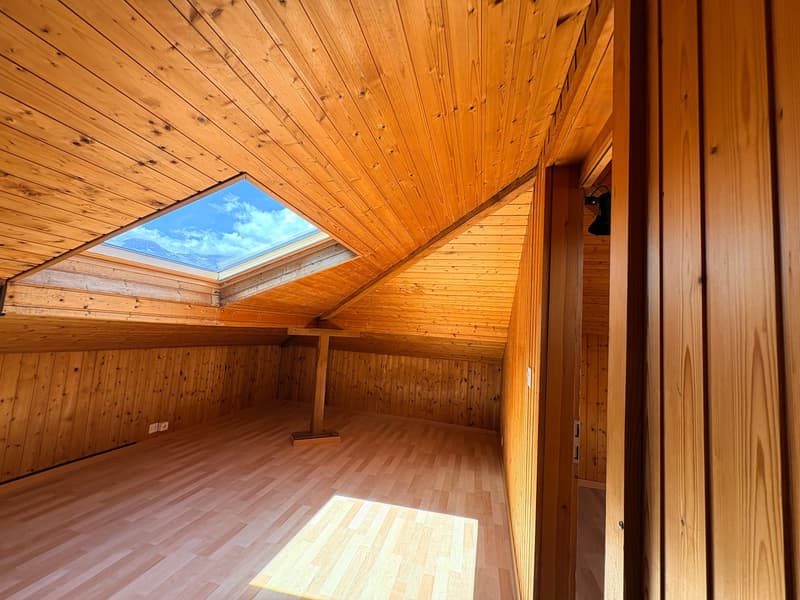 Bex : à louer charmant maison individuelle de 5.5 pièces (13)