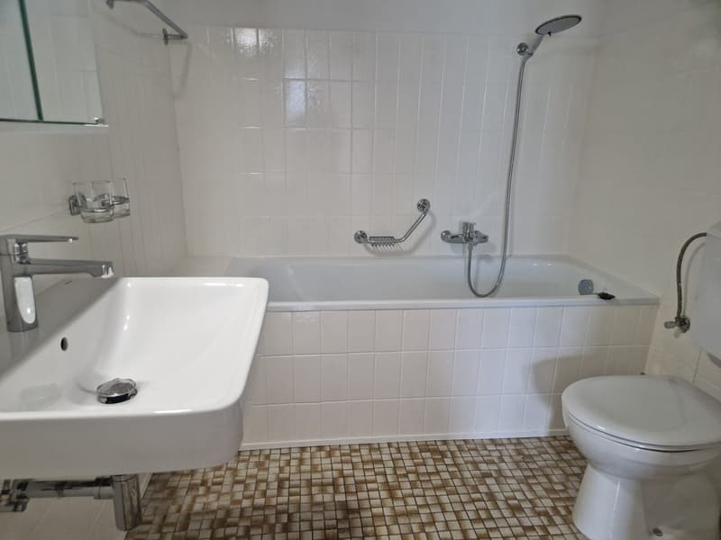 Massongex : à louer appartement lumineux de 2.5 pièces avec vue imprenable (8)