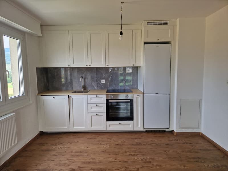 Massongex : à louer appartement lumineux de 2.5 pièces avec vue imprenable (2)