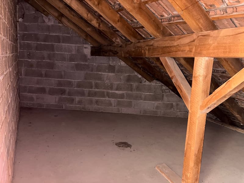 Bex : à louer appartement 2.5 pièces lumineux (9)