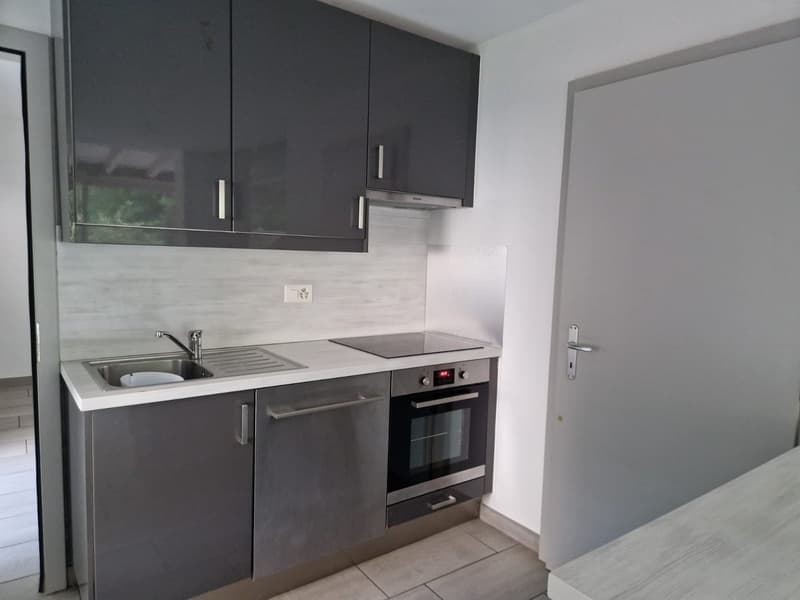 Bex : à louer villa individuelle de 4 pièces (2)