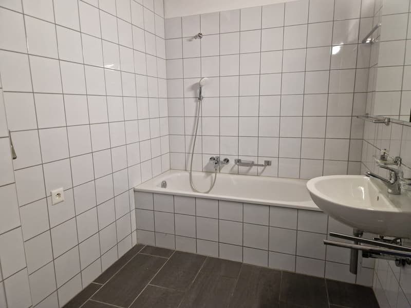 Bex : à louer villa individuelle de 4 pièces (6)
