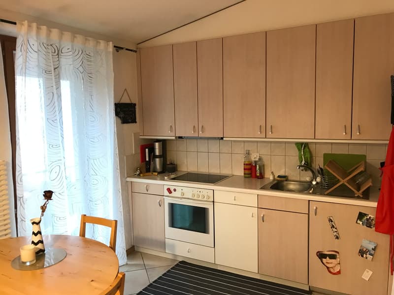 Bex : à louer superbe triplex de 2.5 pièces (4)