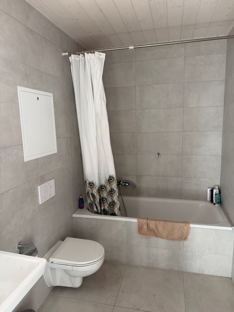 Bex : charmant appartement de 2,5 pièces avec balcon et vue sur les montagnes à Bex (5)