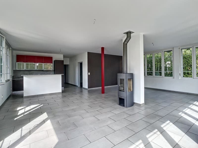 Appartement 5.5 pièces avec jardin (2)