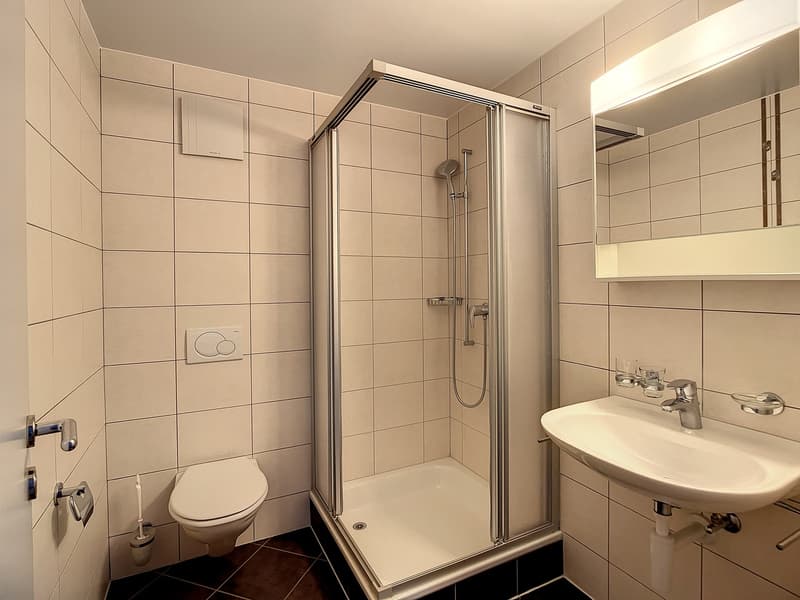 Appartement 5.5 pièces avec jardin (11)