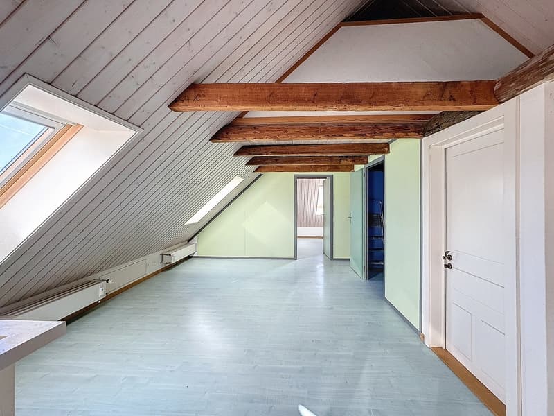 Appartement 4.5 pièces en duplex (7)