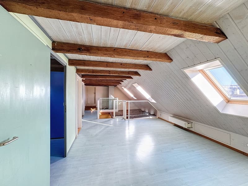 Appartement 4.5 pièces en duplex (8)