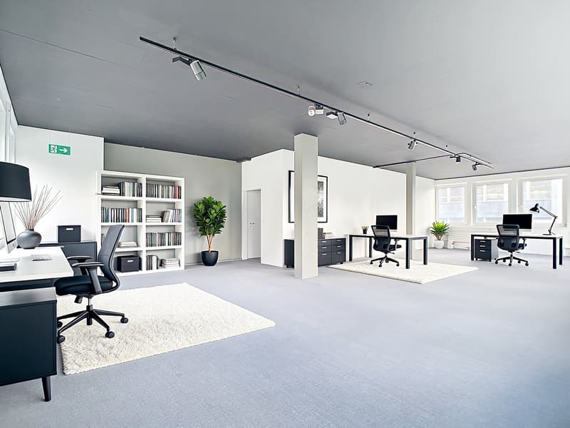 Surface commerciale / bureau avec terrasse (4)
