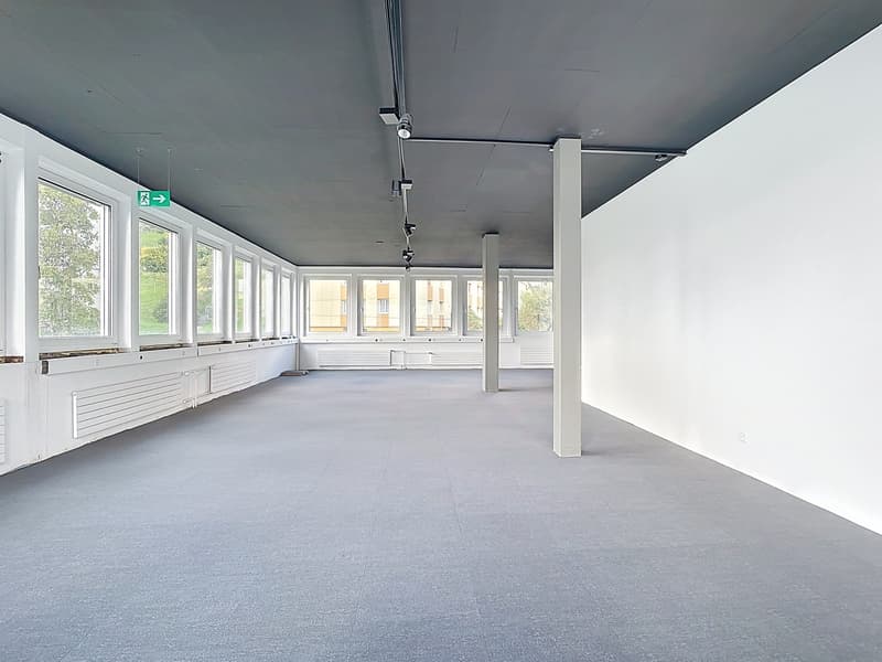 Surface commerciale / bureau avec terrasse (6)