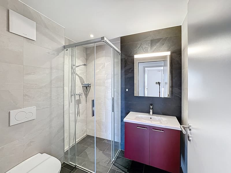 Appartement en sous-attique de 4.5 pièces avec grand balcon/terrasse (11)