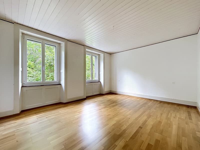Appartement 4.5 pièces avec terrasse (6)