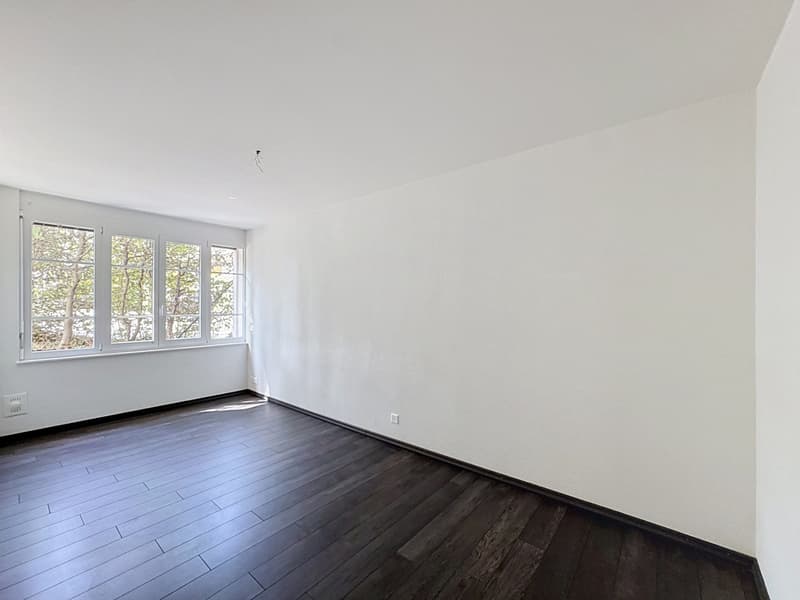 Appartement 5.5 pièces avec terrasse/jardin (7)