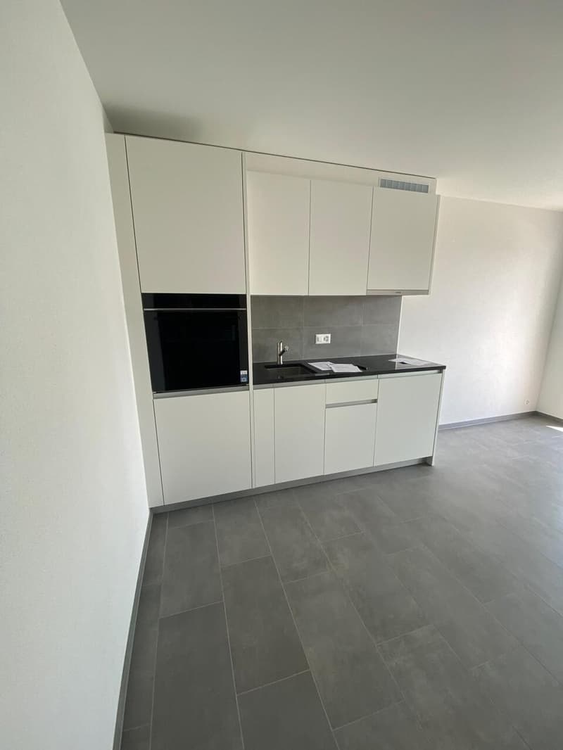 Studio Neuf En Attique proche UNIL / EPFL (6)