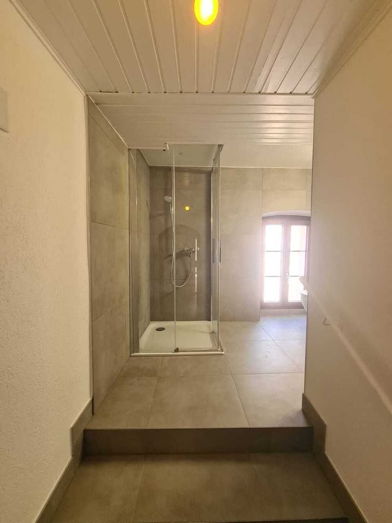 Appartement en duplex de 4.5 pièces entièrement rénové au 1er étage (5)