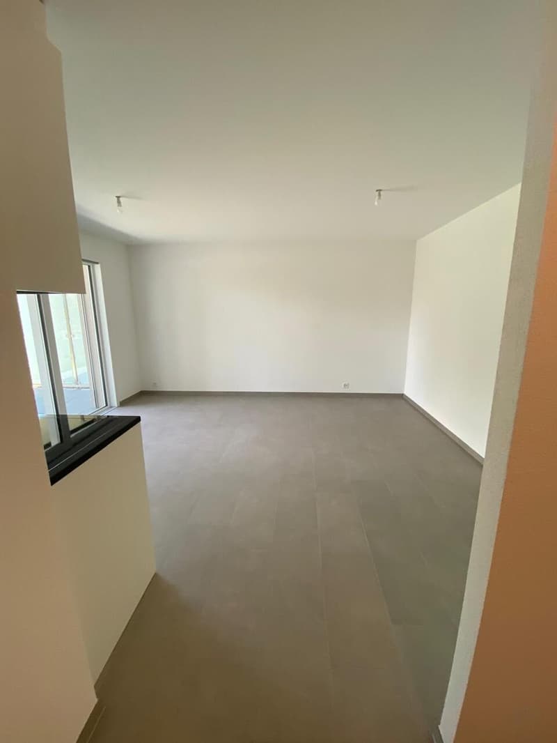 Studio Neuf au rdc avec terrasse de 13.5 m2 proche EPFL / UNIL (4)