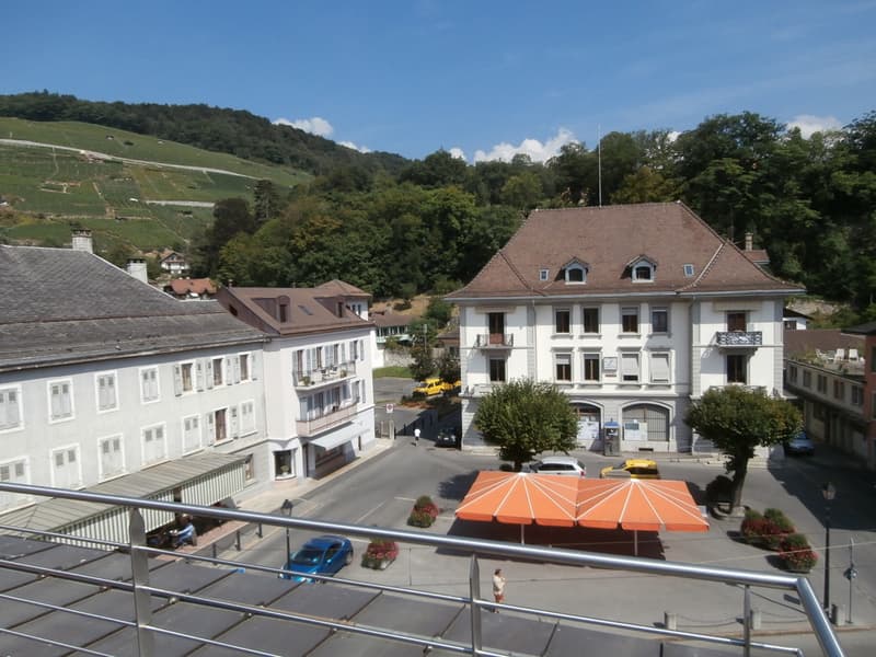 Appartement de 1.5 pièce mansardé avec cachet au 3ème avec balcon (1)